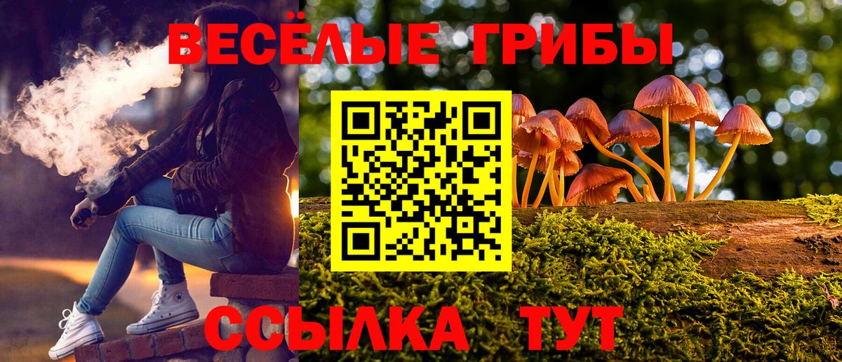 Галлюциногенные грибы MAGIC MUSHROOMS Кисловодск