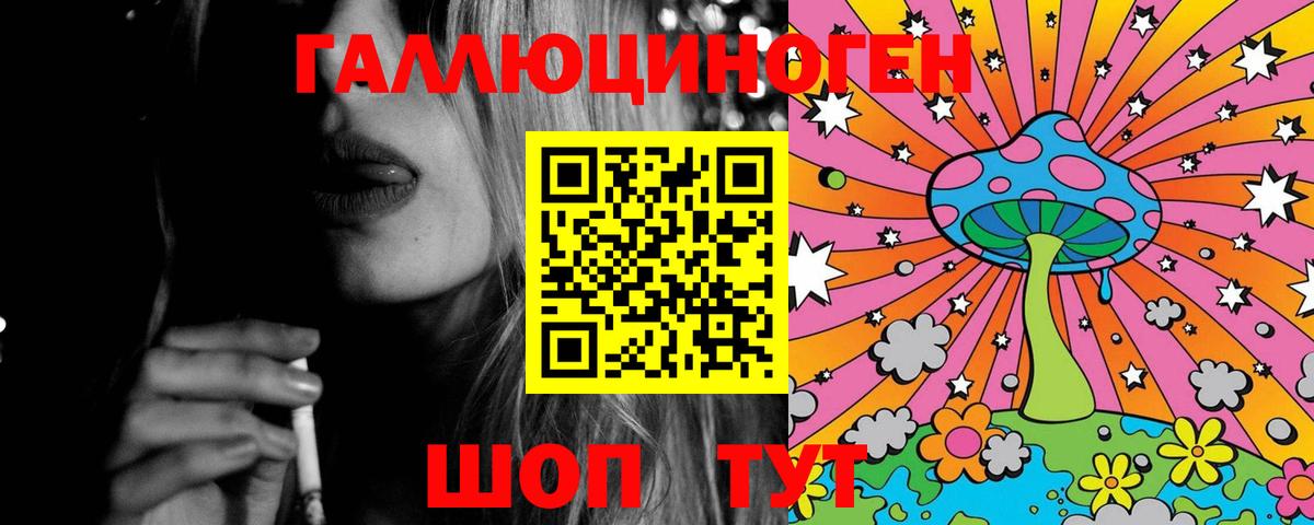 Галлюциногенные грибы Psilocybine cubensis  Вход с VPN  Кисловодск 
