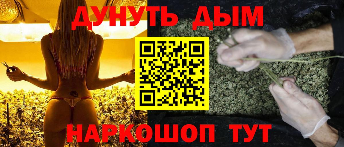 Конопля White Widow Кисловодск